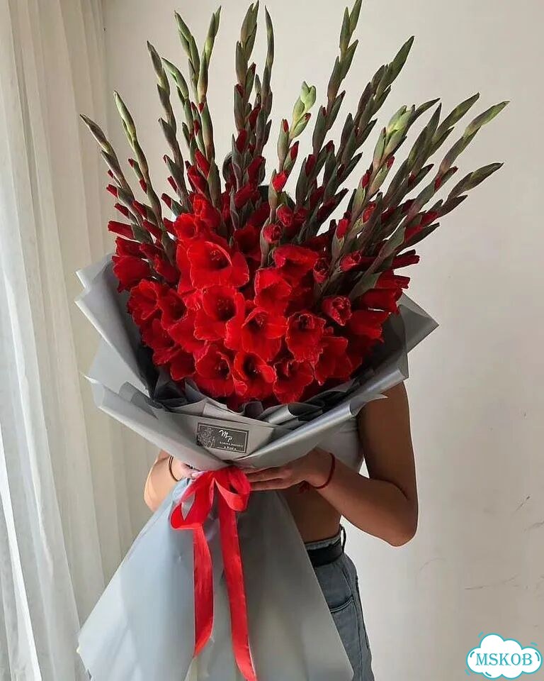 Цветы гладиолусы фото 1