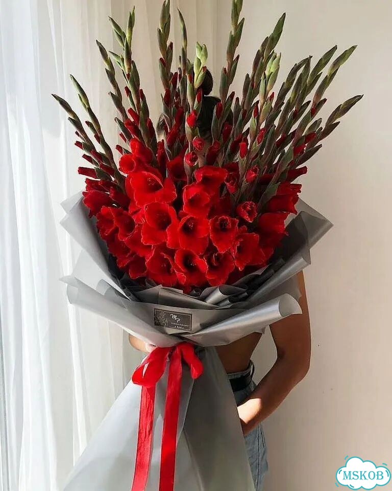 Цветы гладиолусы фото 4