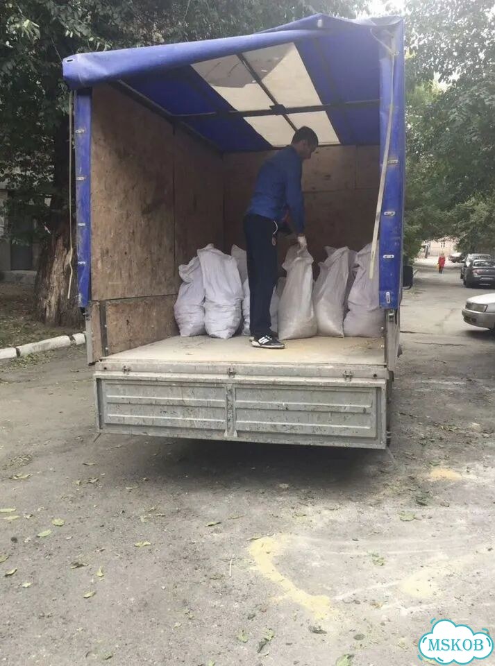 Вывоз мусора Газелью с грузчиком в Андреевке фото 4