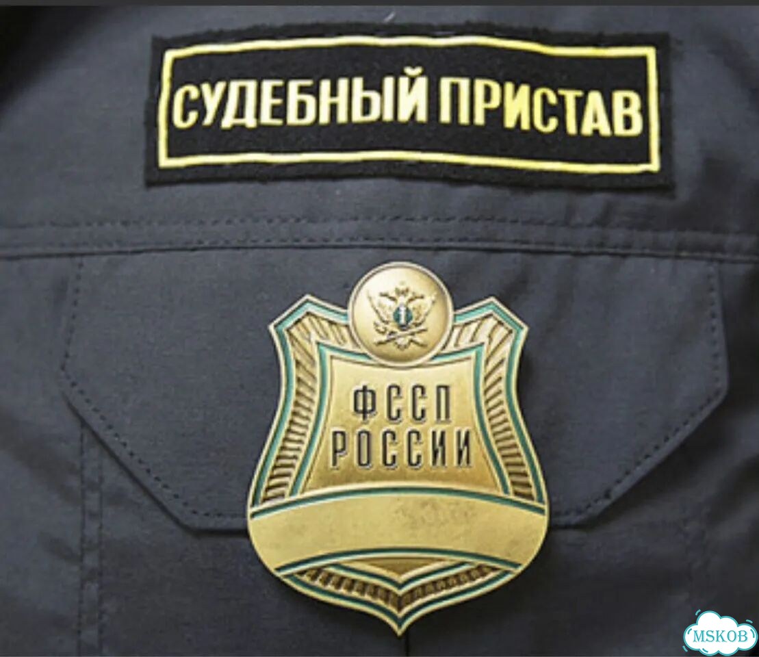 Снять арест/запрет фссп, залог. Банкротство фото 1