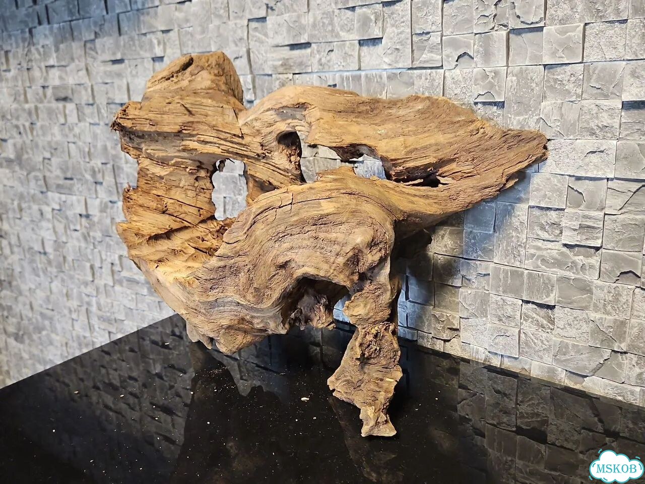 Дубовая коряга фото 5