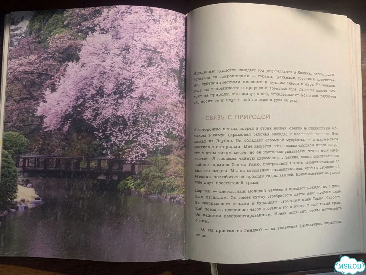 Wabi Sabi - японские секреты истинного счастья фото 4