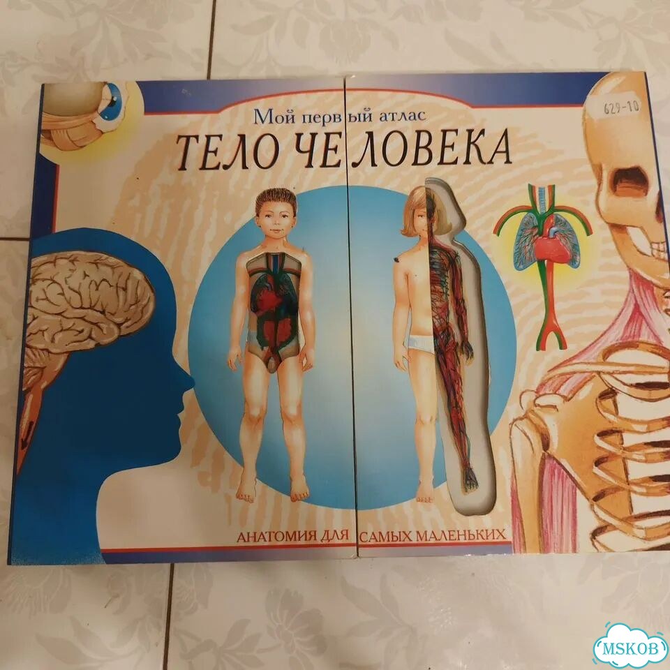 Книга тело человека фото 1