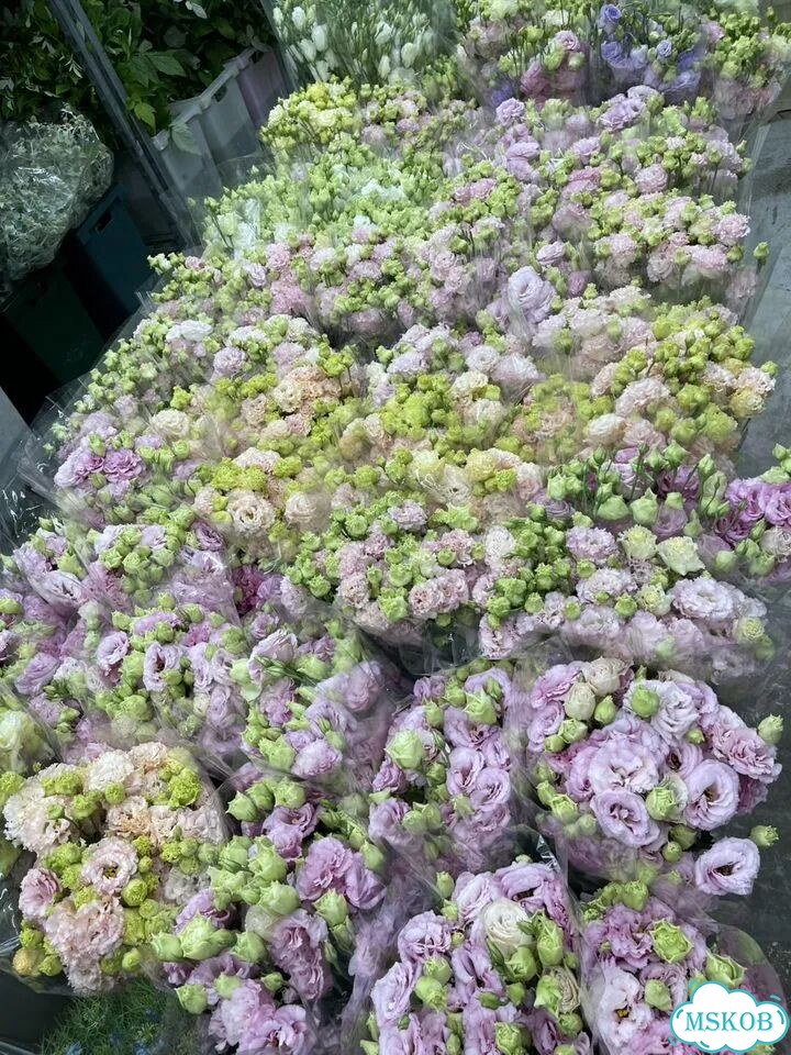 Эустома букет фото 1
