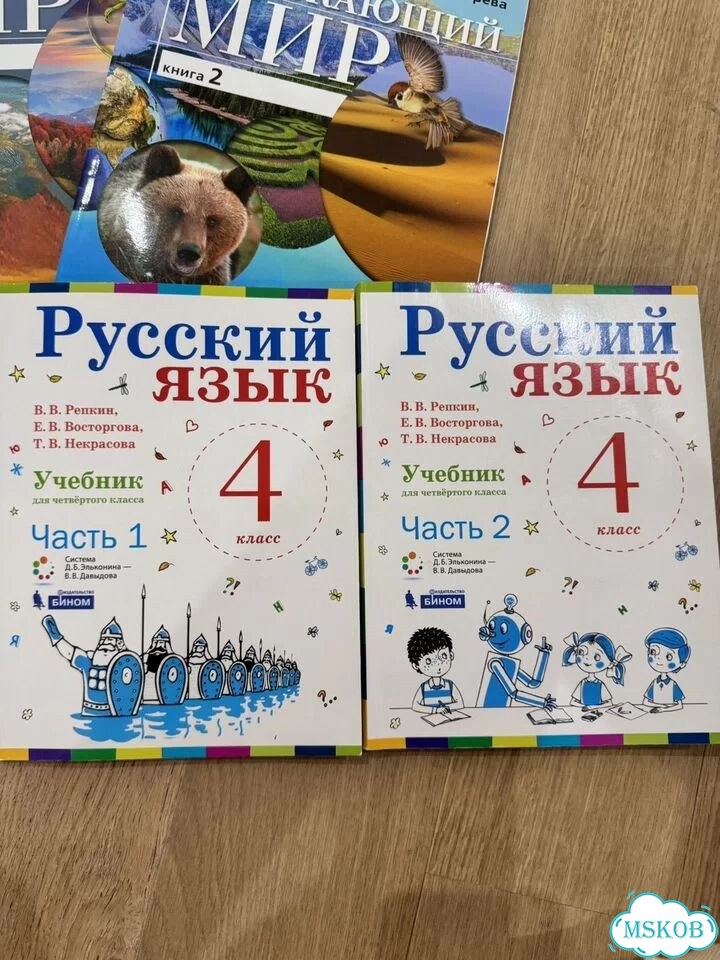 ВПР 4 класс русский Репкин, окружайка Чудинова фото 2