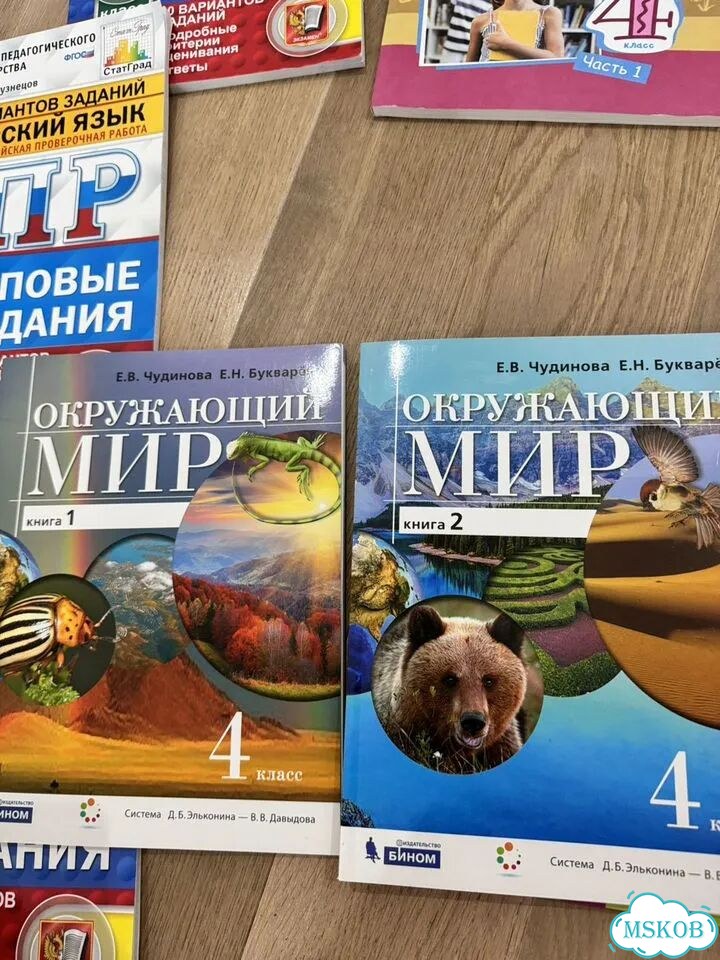 ВПР 4 класс русский Репкин, окружайка Чудинова фото 3