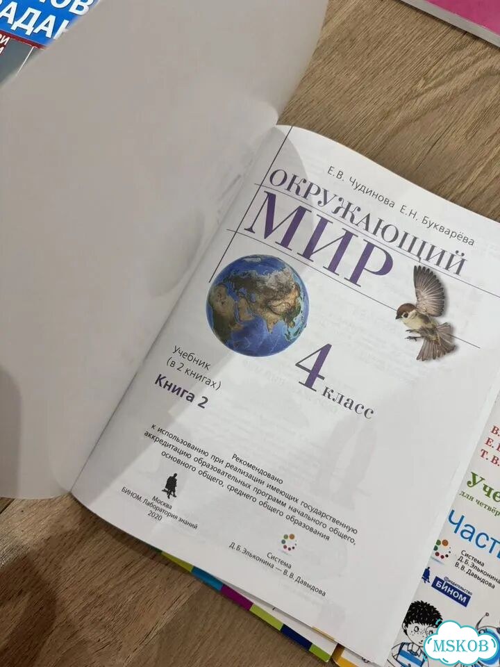 ВПР 4 класс русский Репкин, окружайка Чудинова фото 4