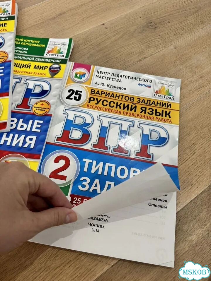 ВПР 4 класс русский Репкин, окружайка Чудинова фото 6