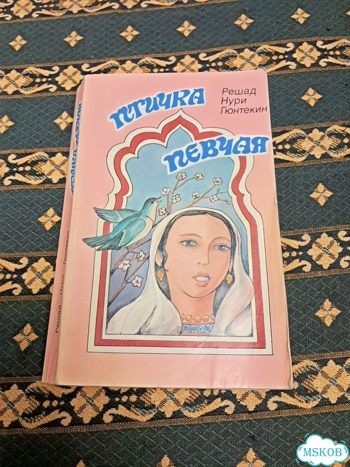 Птичка певчая фото 1