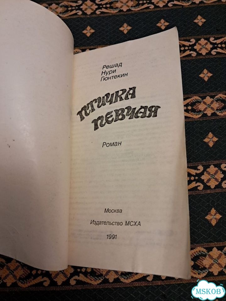 Птичка певчая фото 2