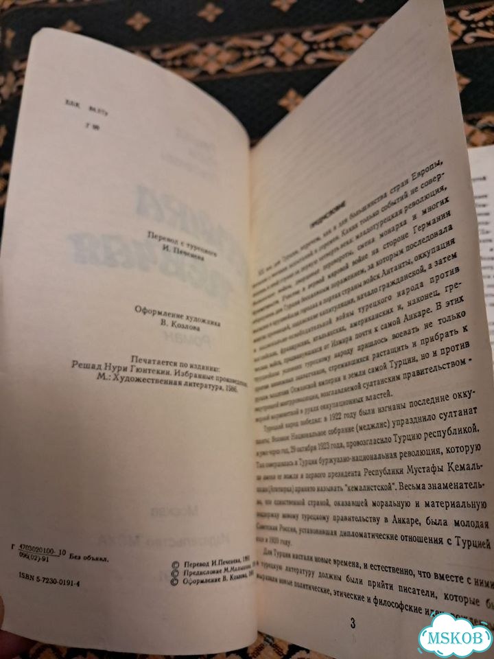 Птичка певчая фото 3