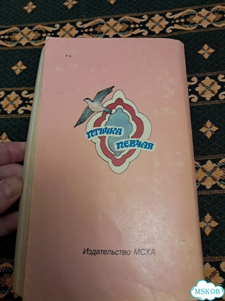 Птичка певчая фото 6