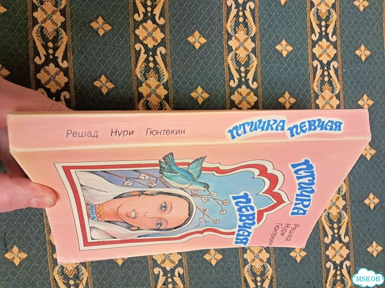 Птичка певчая фото 9