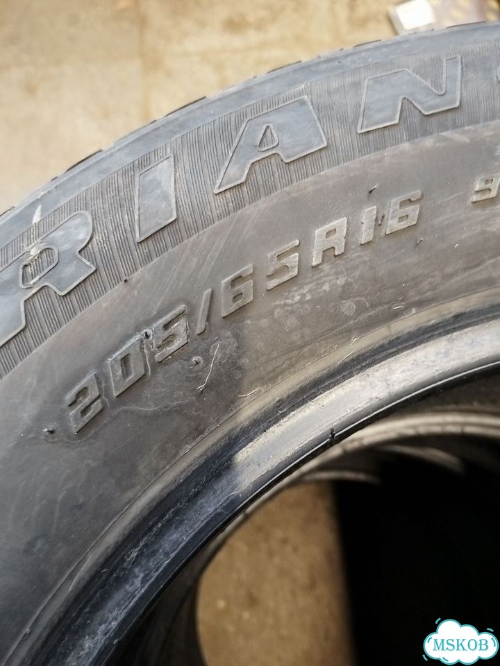 Triangle SJJP 205/65 R16 95H фото 3
