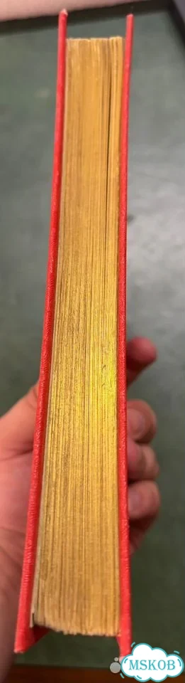 Антикварная детская книга «Два героя» 1903 год фото 3