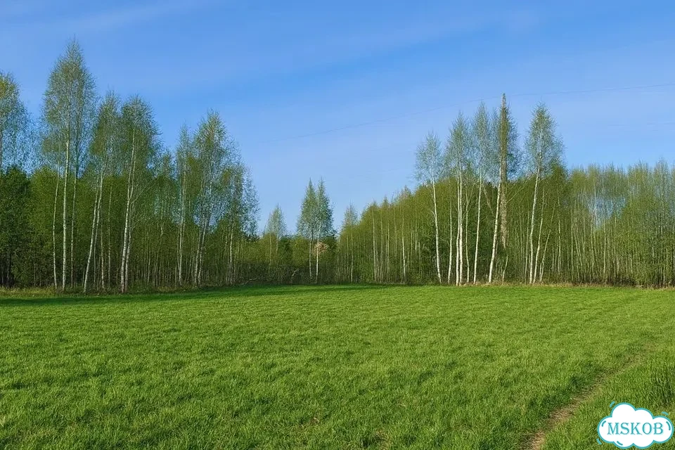 Участок 15 сот. (ИЖС) фото 1
