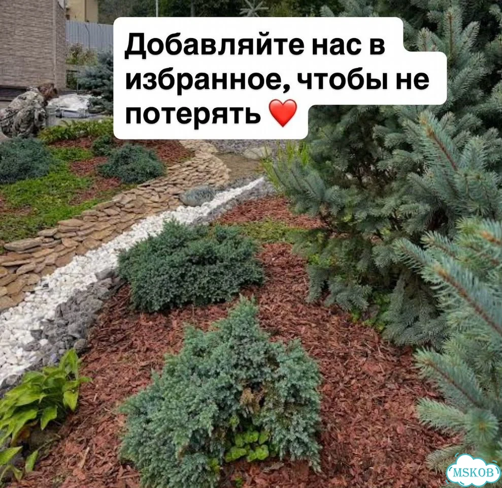 Кора в мешках фото 2