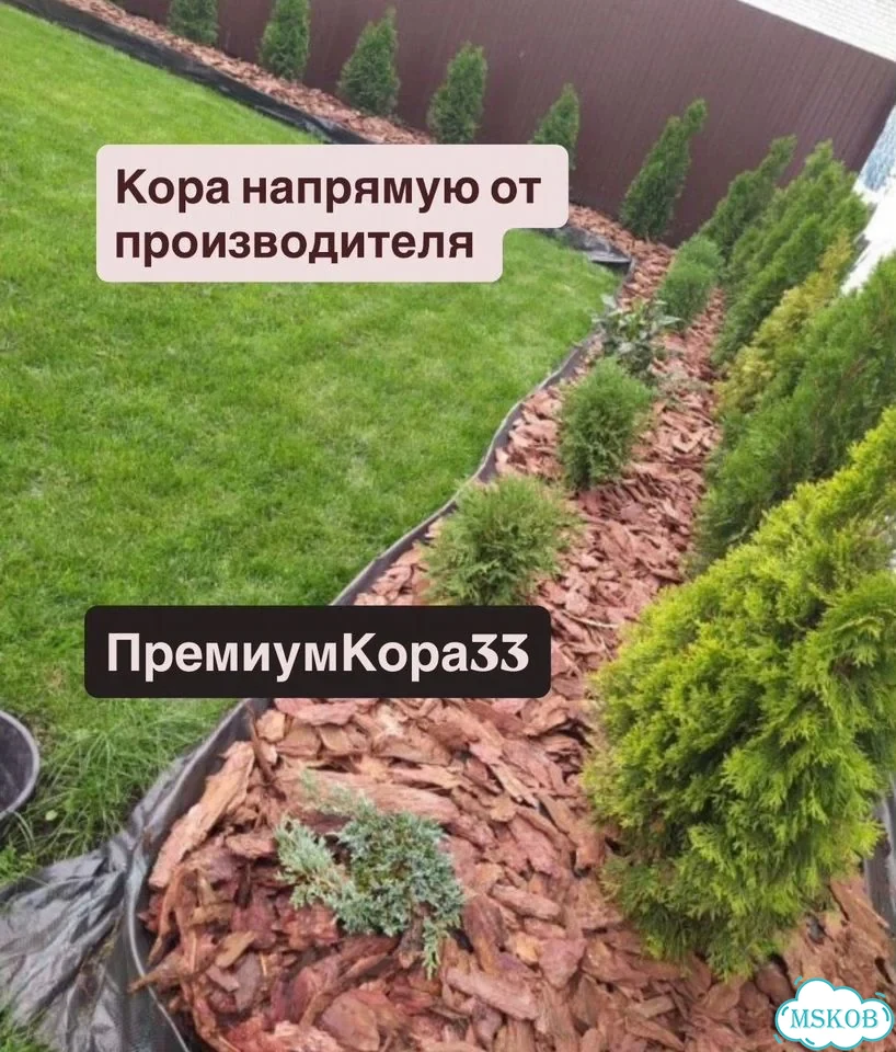 Кора в мешках фото 6