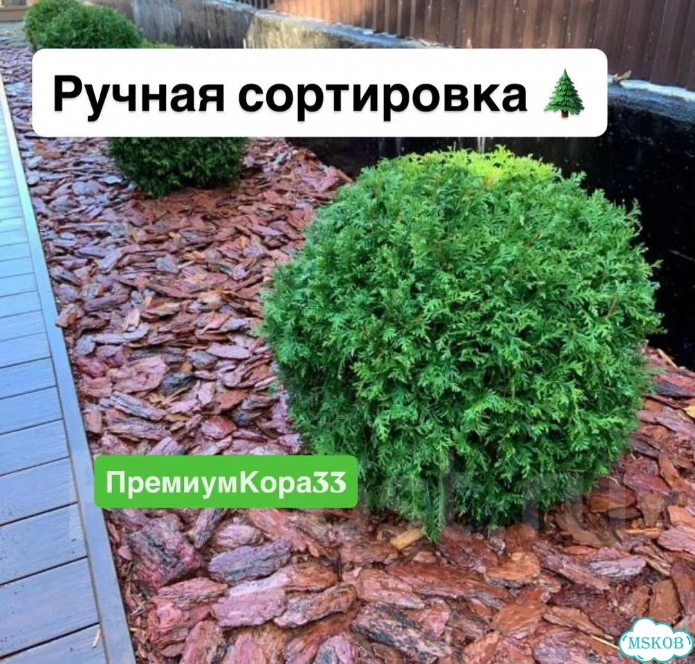 Кора в мешках фото 9