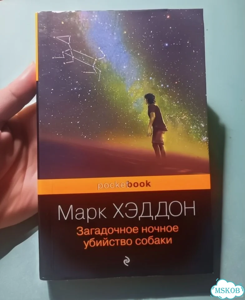 Марк Хэддон. Загадочное ночное убийство собаки фото 1