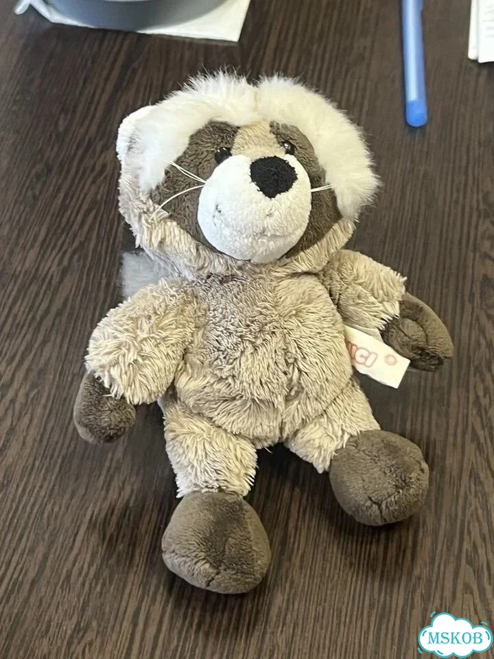 Игрушка Мягкий Енот Nici фото 1