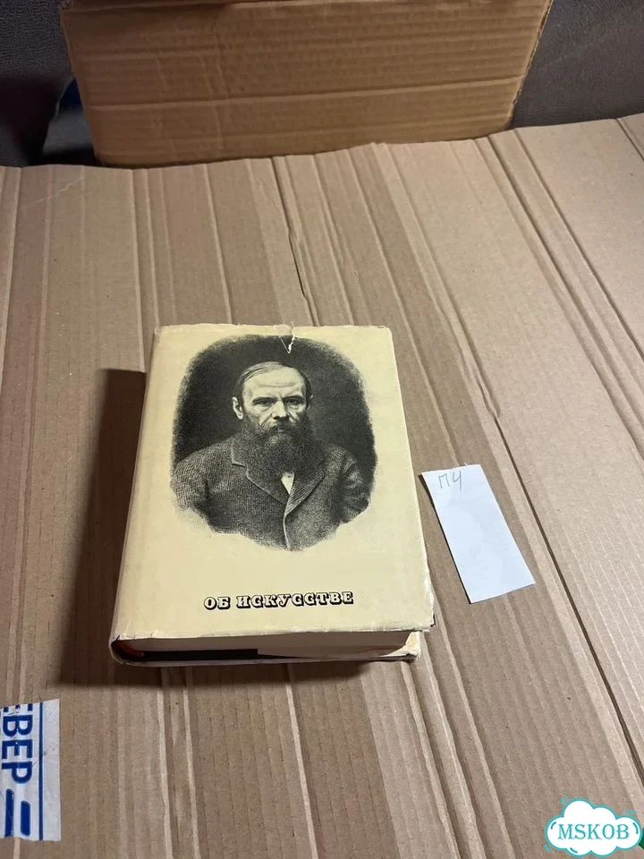 Ф.М Достоевский об искусстве фото 1