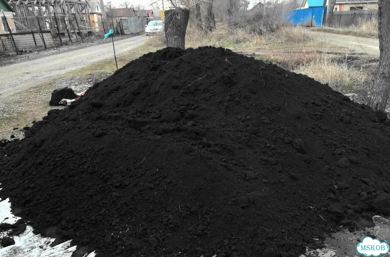 Плодородная земля, почва фото 3