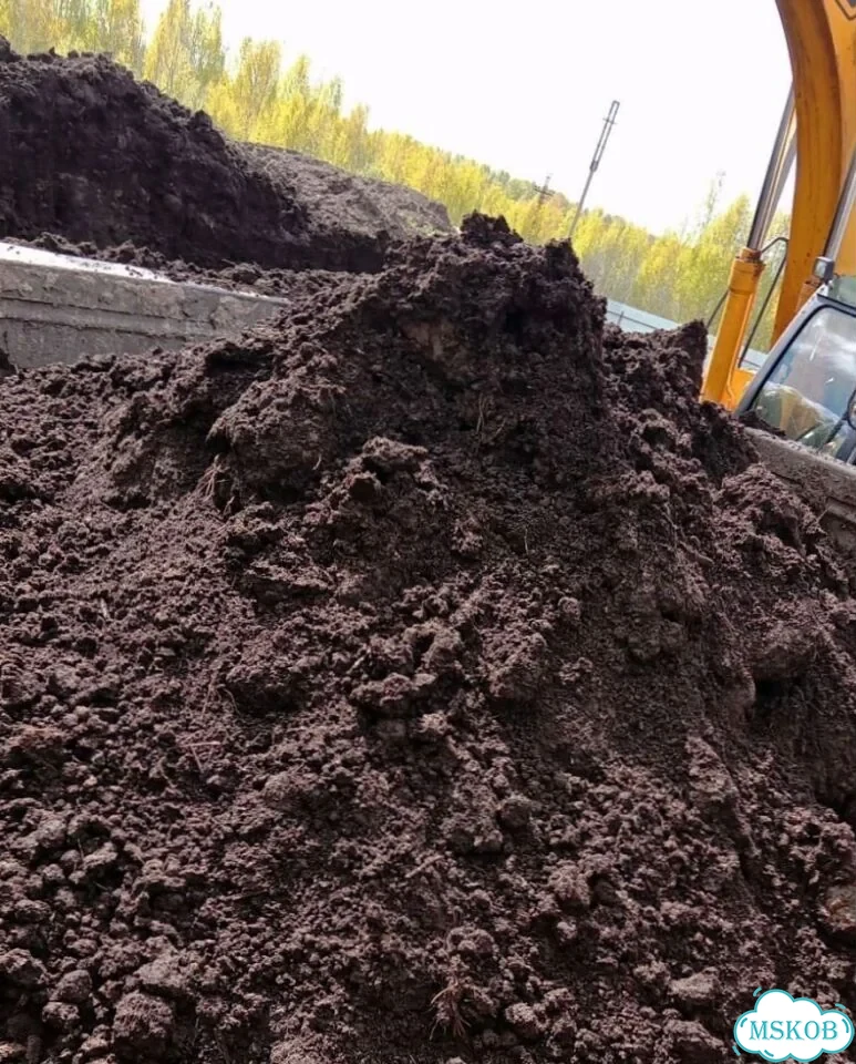 Плодородная земля, почва фото 2