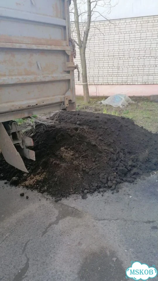 Плодородная земля фото 3