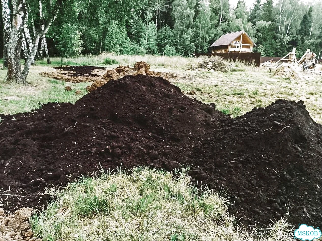 Чернозем Курский фото 1