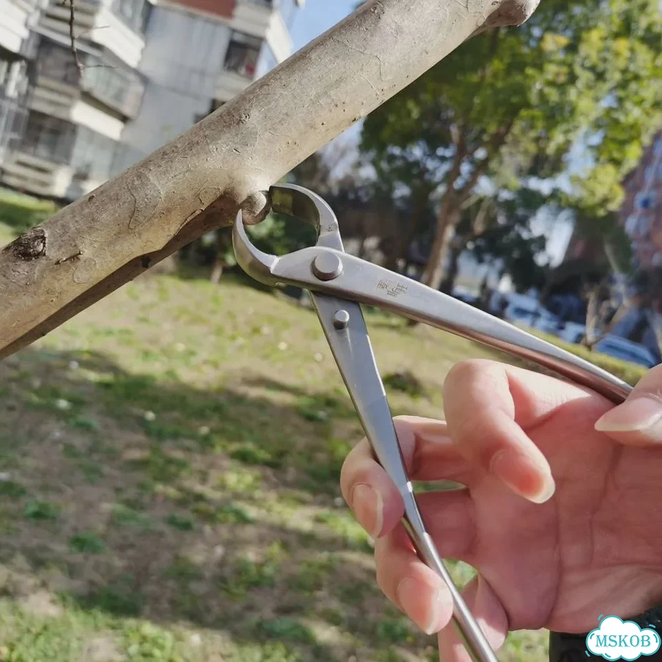 Инструмент для бонсай wstwa, Knob Cutter 290mm фото 3