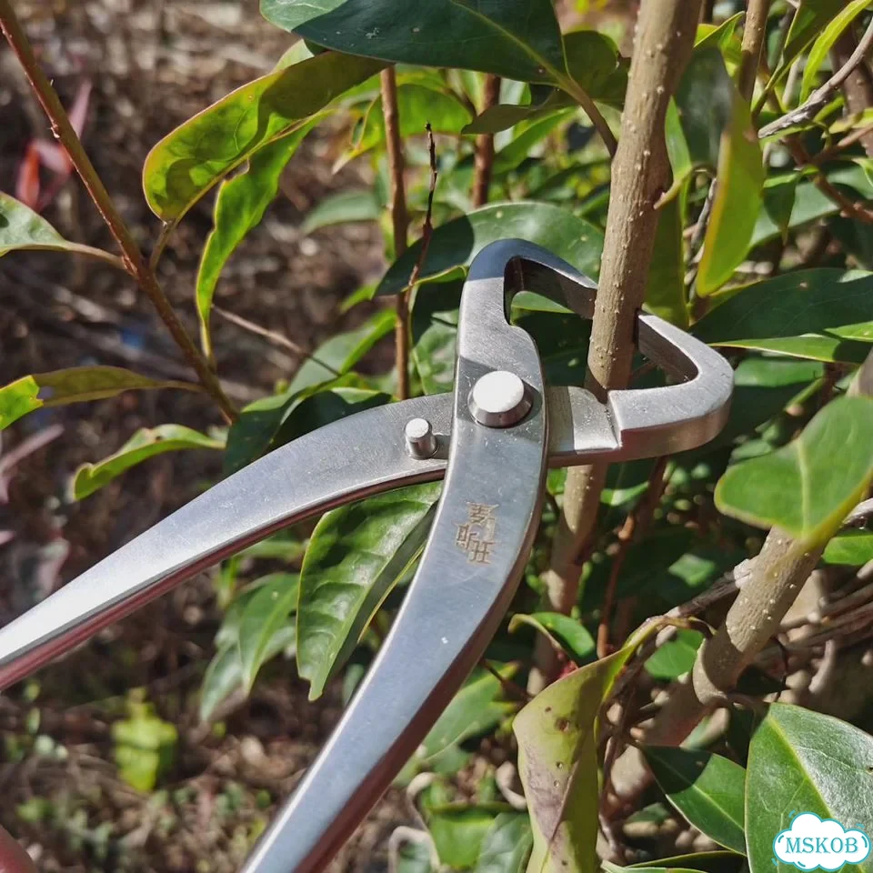 Инструмент для бонсай wstwa, Knob Cutter 290mm фото 4