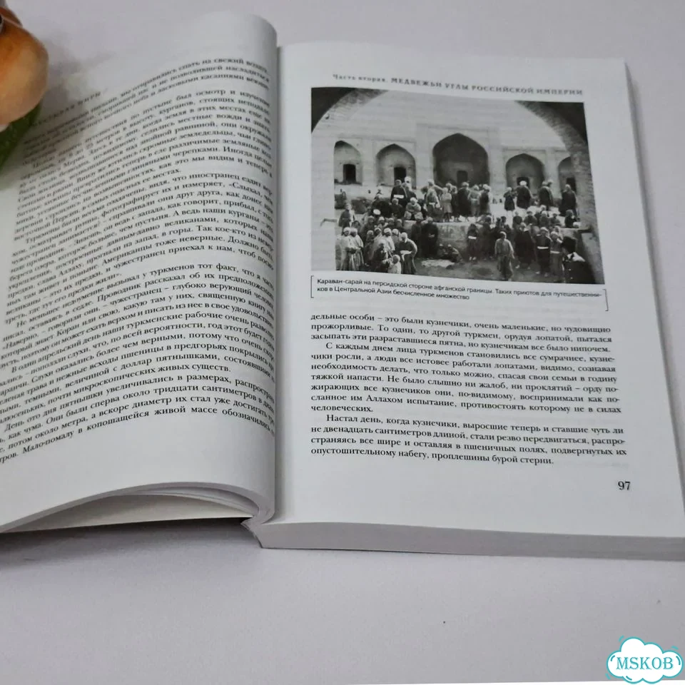 Книга Открывая миры Марк Дженкинс фото 8