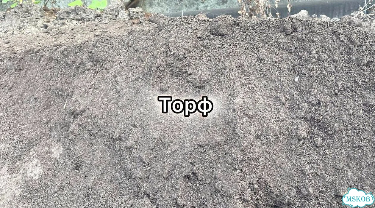 Гравий Щебень Грунт доставка фото 5