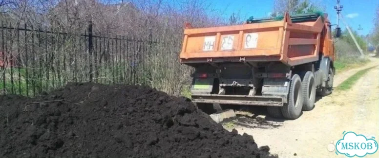 Чернозем Воронежский фото 2