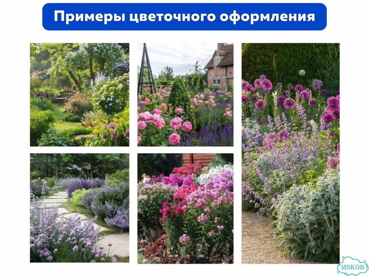 Ландшафтный дизайн. Озеленение участка фото 5
