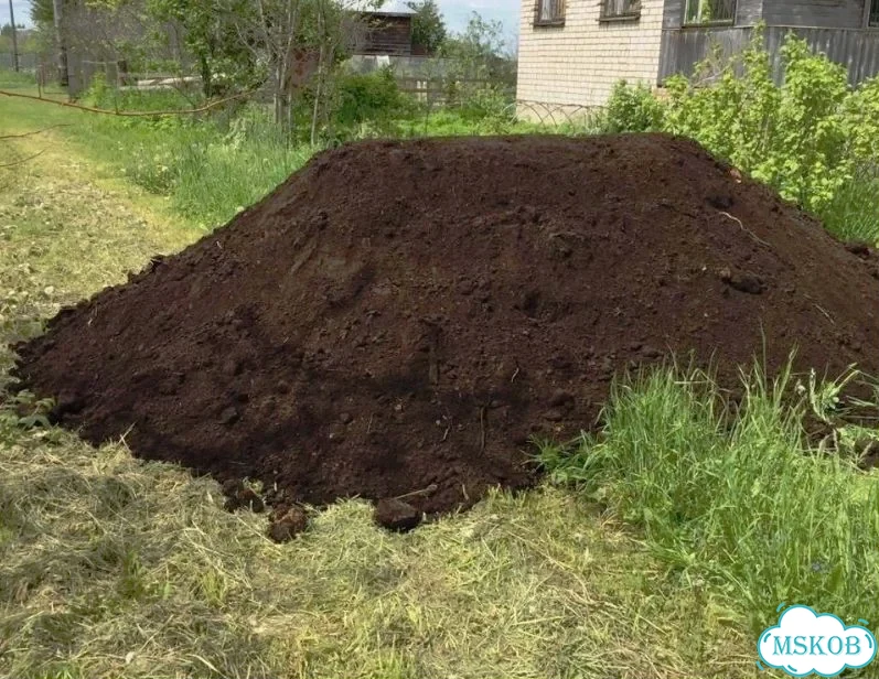 Чернозём Воронеж фото 1