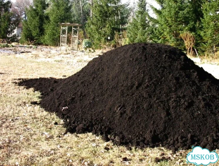 Чернозем Воронежский фото 1