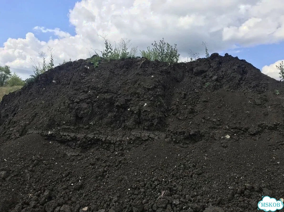 Чернозем Воронежский фото 2
