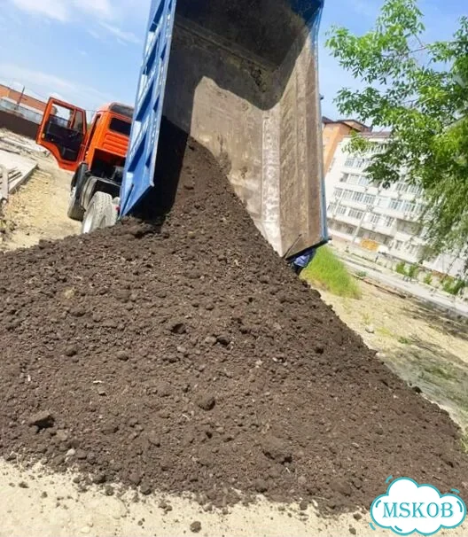 Чернозем Воронежский фото 4
