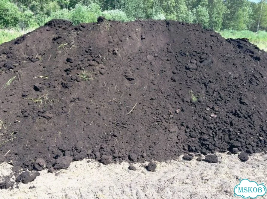 Чернозём Курск фото 1
