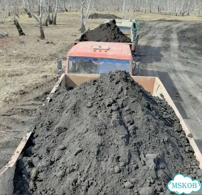 Чернозём Курск фото 3