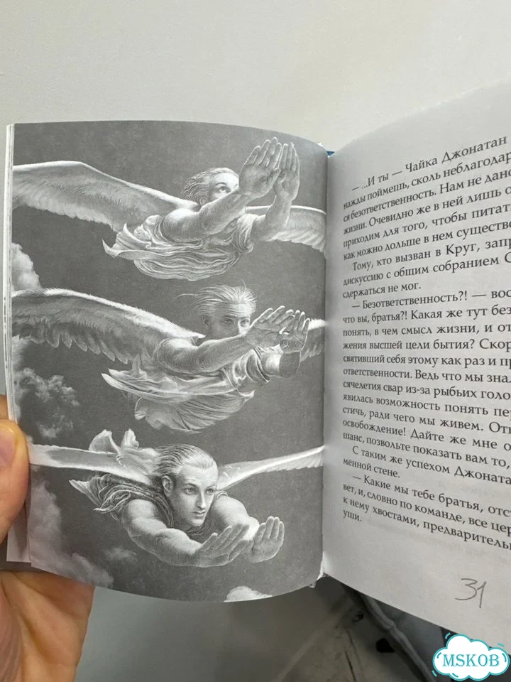 Книга чайка джонатан ливингстон фото 3