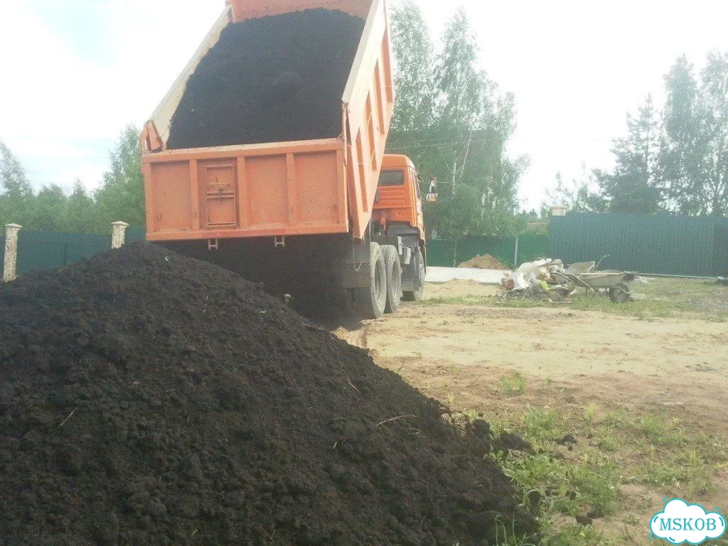 Плодородная земля, почва фото 3