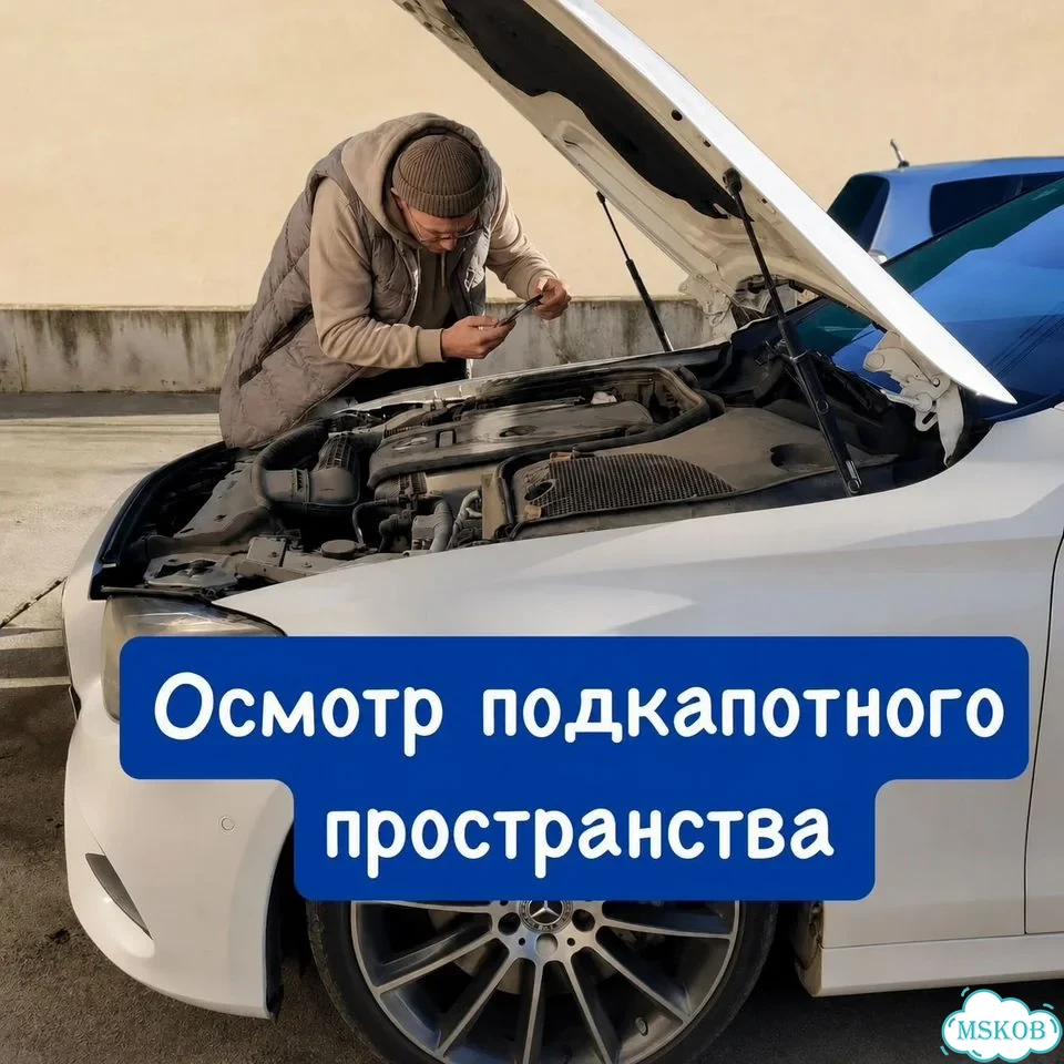 Автоподбор, Автоподборщик, Выездная диагностика фото 5