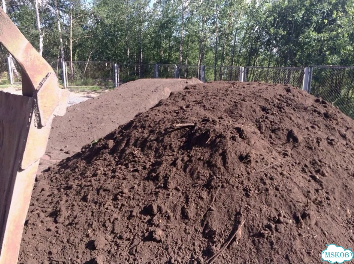 Чернозём Воронеж фото 3