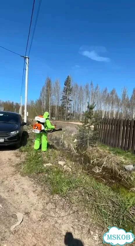 Обработка от тараканов клещей клопов фото 10