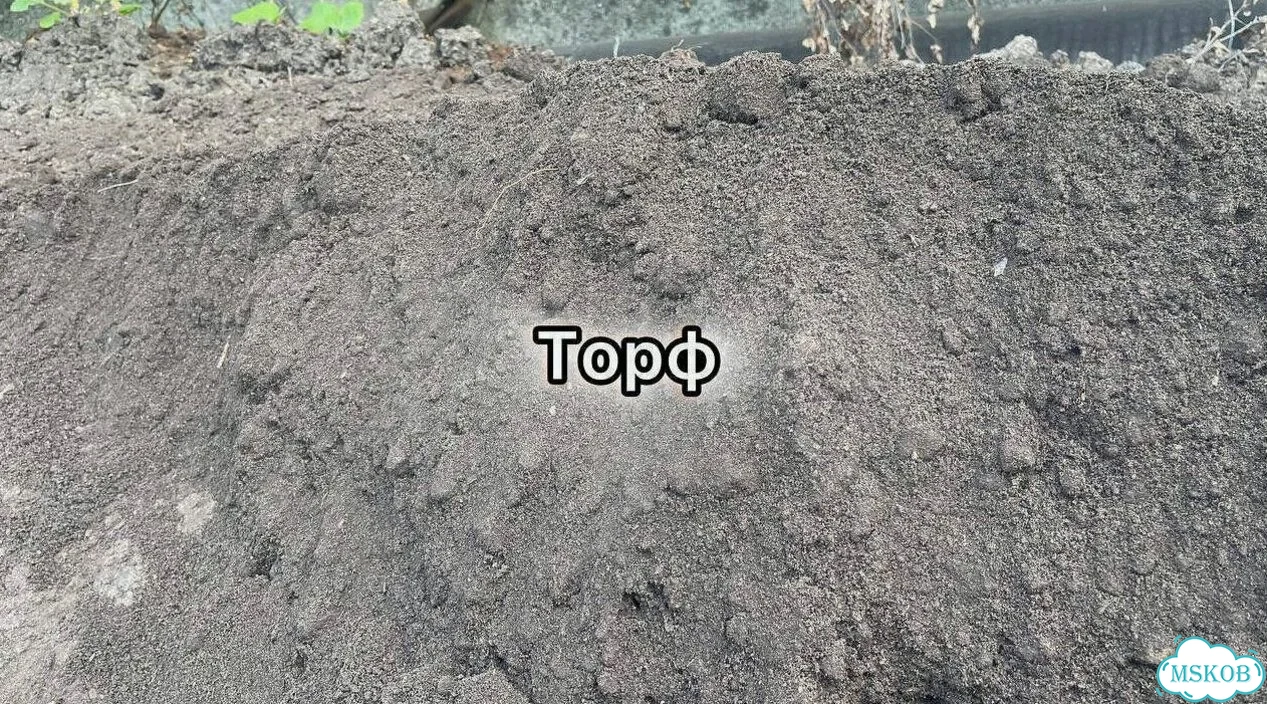 Щебень известковый Гравий Галька фото 7