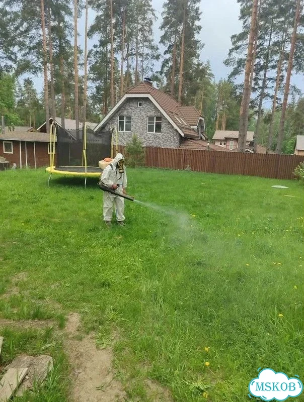 Обработка участка. Защита от клещей, муравьев фото 2