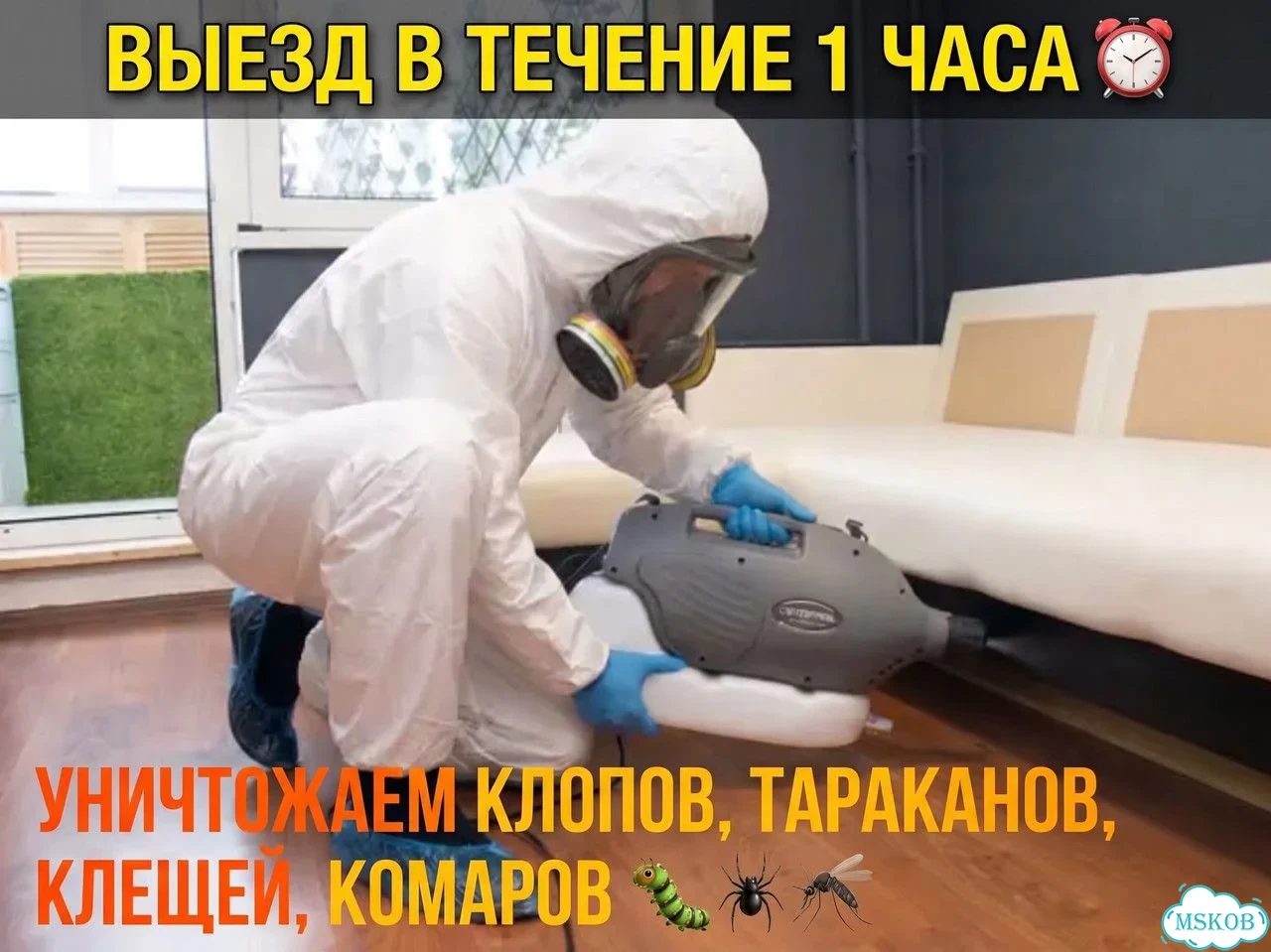 Уничтожение клопов и тараканов. Дезинсекция фото 1
